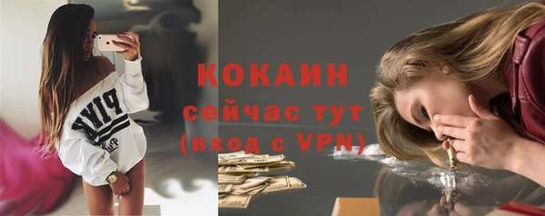 индика Балахна