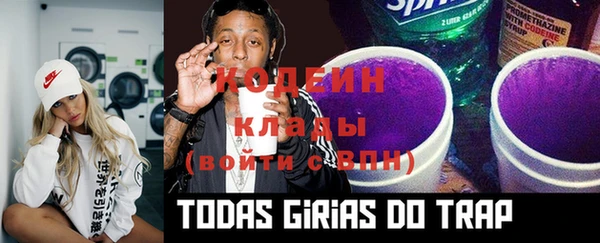 индика Балахна